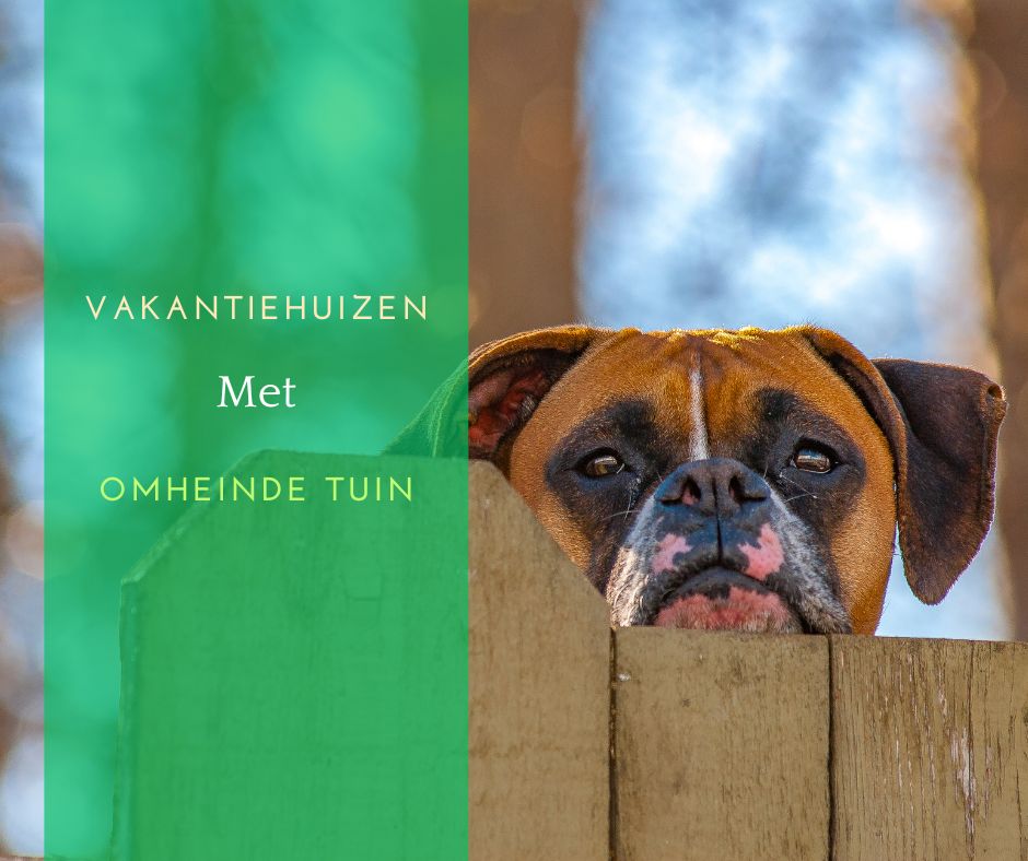 Omheinde vakantiehuizen honden toegestaan